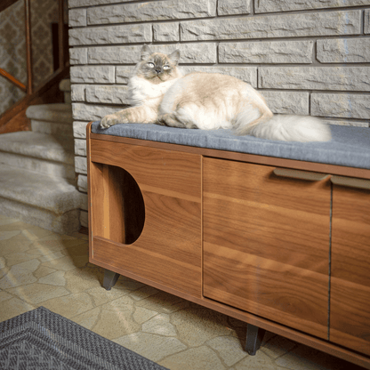 tucker shoe cabinet