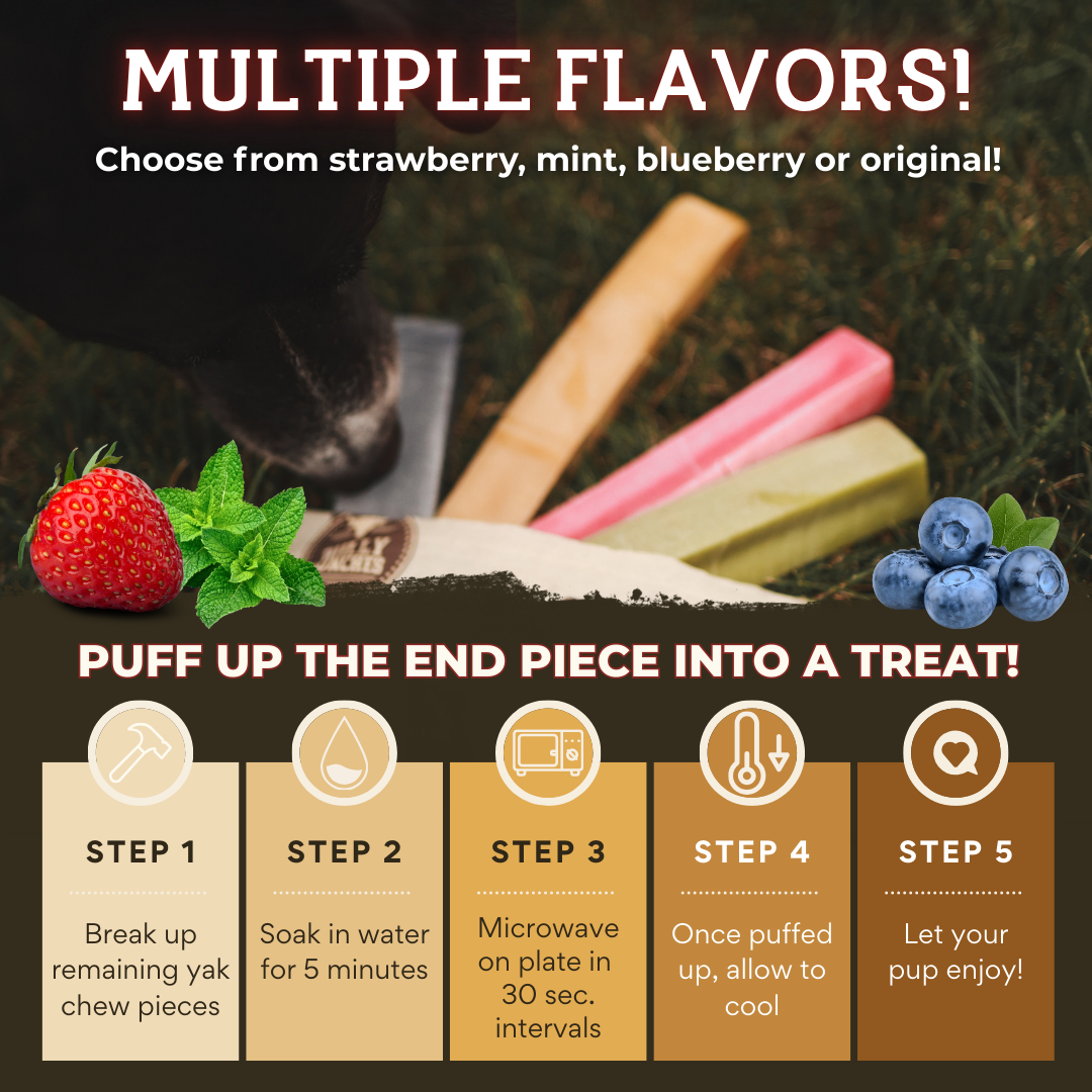 Himalayan Yak Chew Flavour Pack